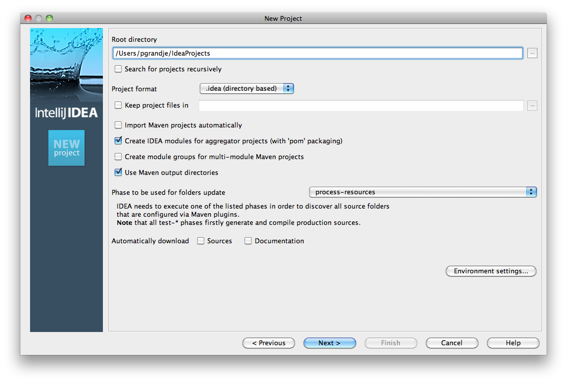 _images/Appendix_Sel20_Java_Img04_RootDirAndProjOptions.png
